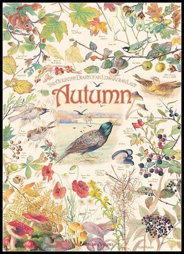 Country diary autumn chart - country,